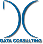 Data Consulting Srl